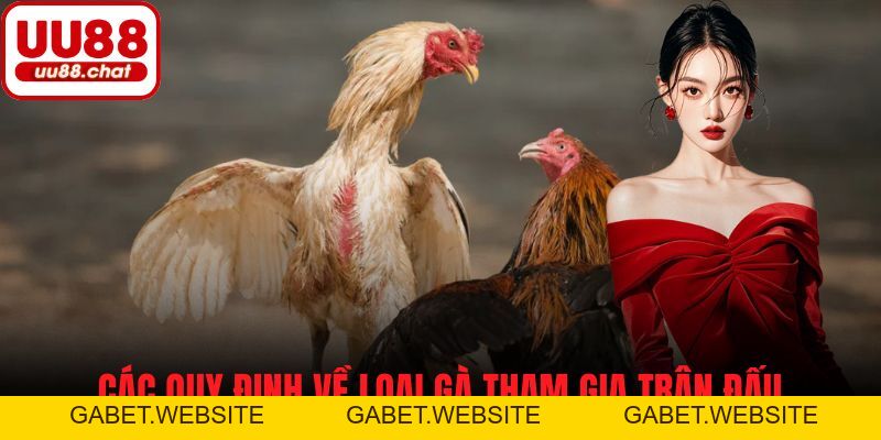 Đá Gà Cựa Sắt - Cẩm Nang Cá Cược Và Chiến Lược Dành Cho Bạn - gabet