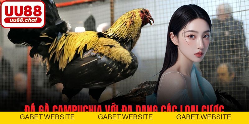 Đá Gà Campuchia - Cách Chơi, Luật Cá Cược và Mẹo Thành Công - gabet