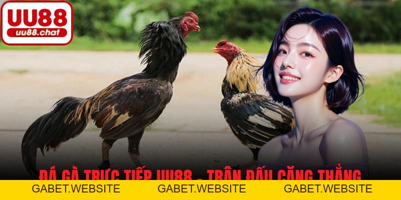 Đá Gà - UU88 - gabet