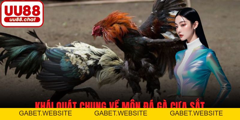 Đá Gà Cựa Sắt - Cẩm Nang Cá Cược Và Chiến Lược Dành Cho Bạn - gabet