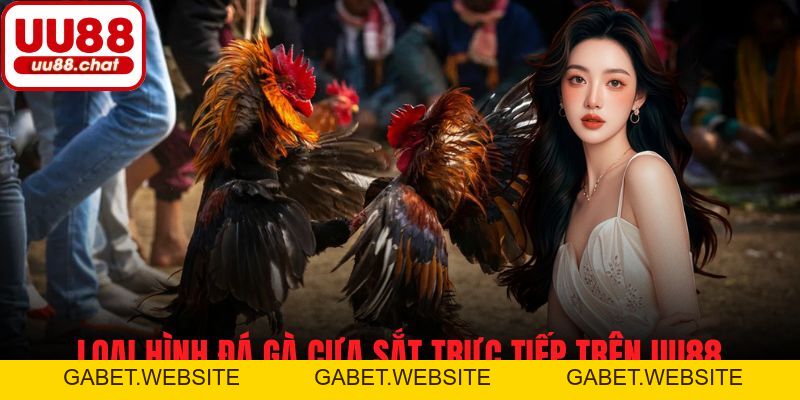 Đá Gà Trực Tiếp UU88 - Trận Đấu Căng Thẳng, Cơ Hội Thắng Lớn - gabet