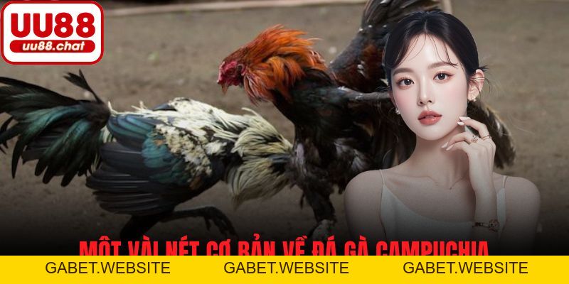 Đá Gà Campuchia - Cách Chơi, Luật Cá Cược và Mẹo Thành Công - gabet