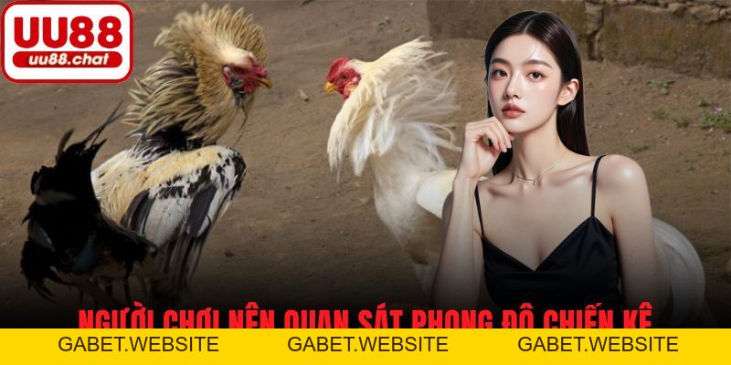 Đá Gà Campuchia - Cách Chơi, Luật Cá Cược và Mẹo Thành Công - gabet