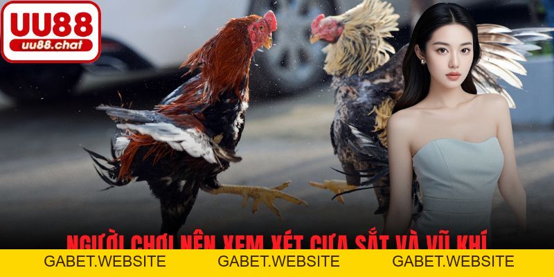 Đá Gà Cựa Sắt - Cẩm Nang Cá Cược Và Chiến Lược Dành Cho Bạn - gabet