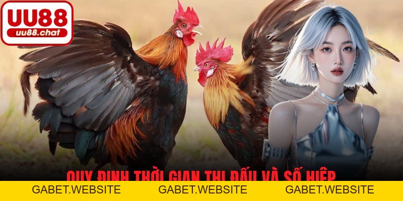 Đá Gà Cựa Dao - Đặc Sắc, Kịch Tính Và Cơ Hội Thắng Cược - gabet