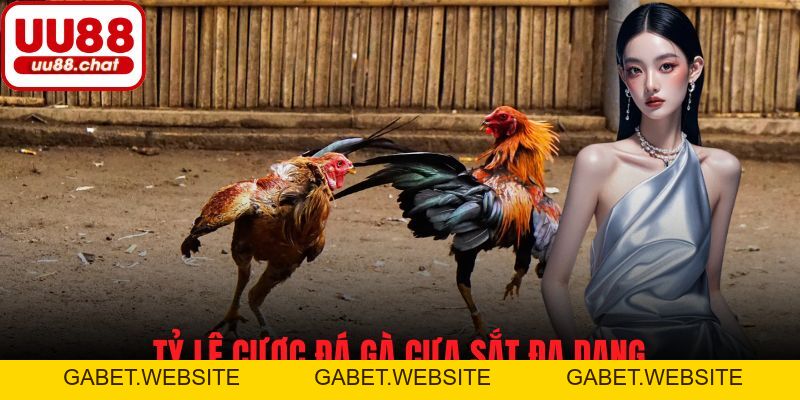 Đá Gà Cựa Sắt - Cẩm Nang Cá Cược Và Chiến Lược Dành Cho Bạn - gabet